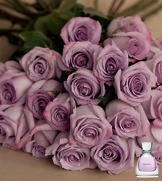rosas_lilas.jpg