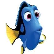dory.jpg