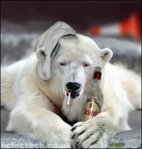 drunkpolar.jpg