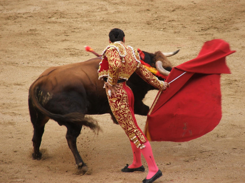 Torero_by_oroquileseye.jpg