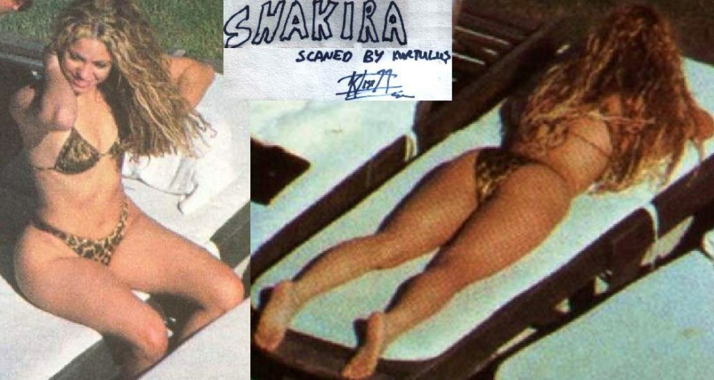 SHAKIRA-BIKINI-shakira-11239594-1024-546.jpg