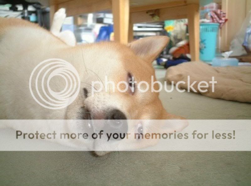 1277304720394.jpg