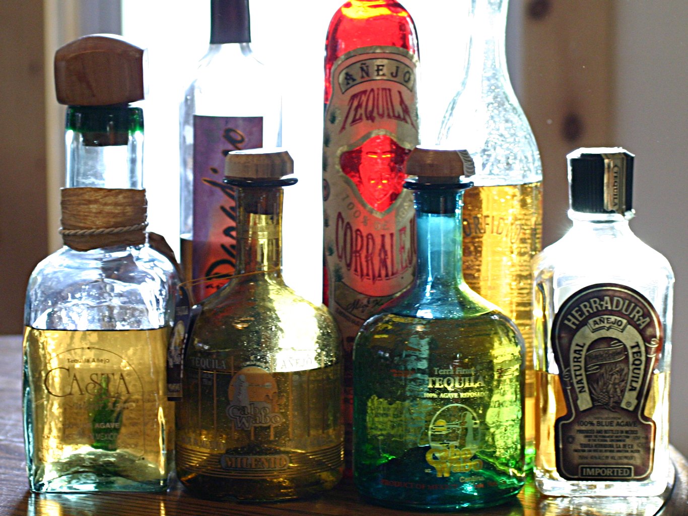 tequila-sunny-window1.jpg