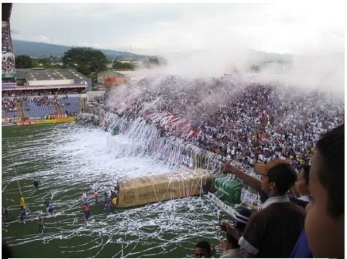 sur04.jpg