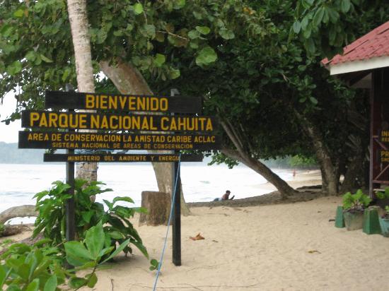 cahuita-np.jpg