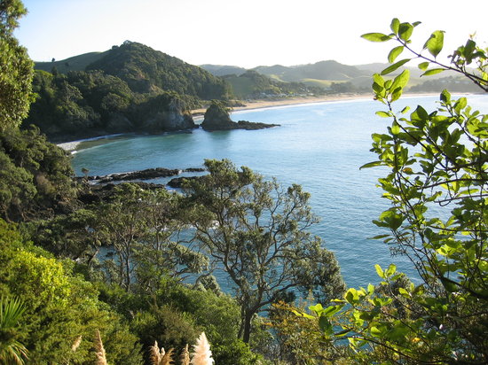 new-zealand.jpg