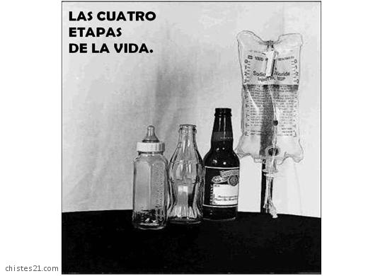2501_las-cuatro-etapas-de-la-vida.jpg