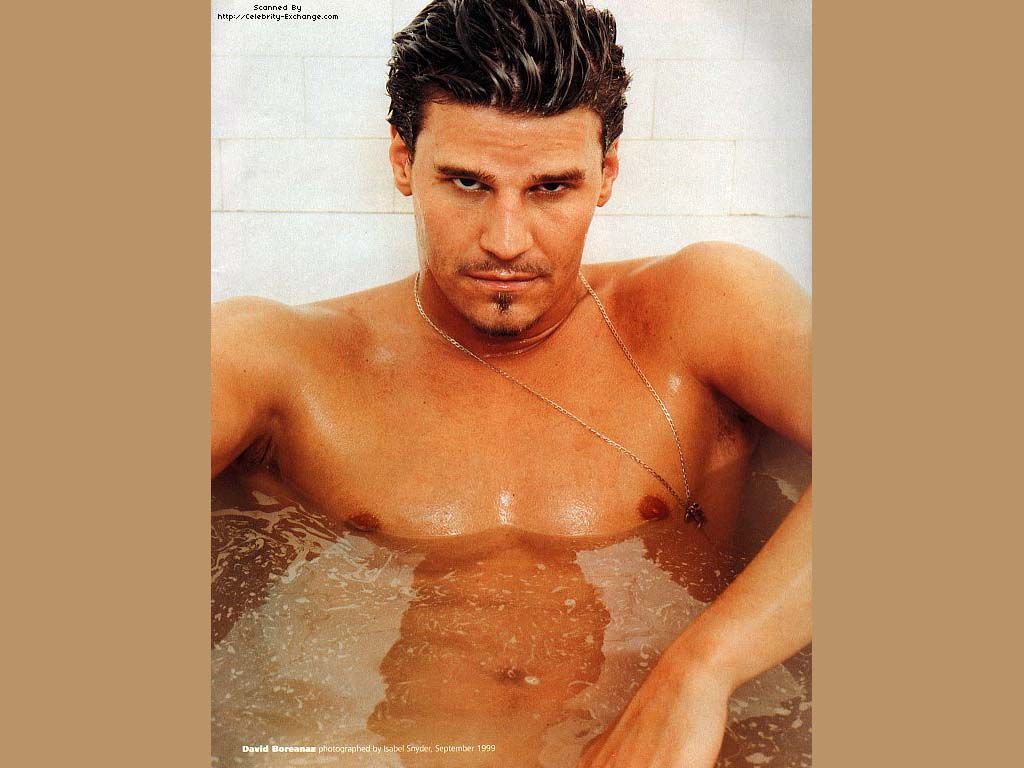 male-celeb-david-boreanaz-001.jpg