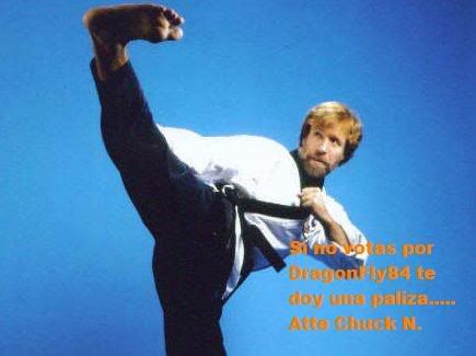 chucknorris-sidekick.jpg
