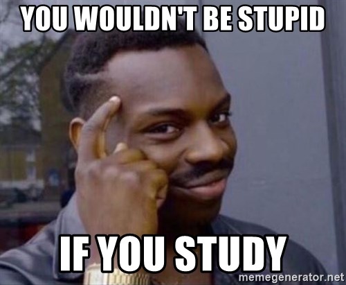you-wouldnt-be-stupid-if-you-study.jpg
