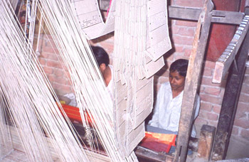 photo4.jpg