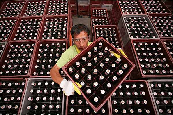 3145831_cerveza1.jpg