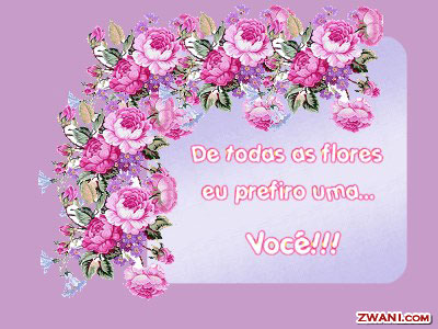 z-flores5.jpg