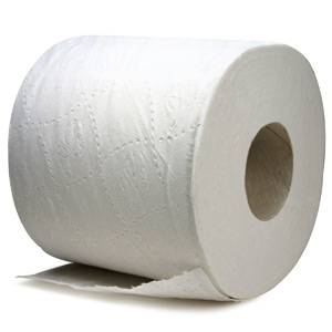 a20toilet20paper.jpg