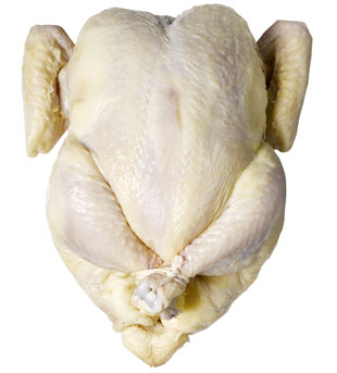 chicken.jpg