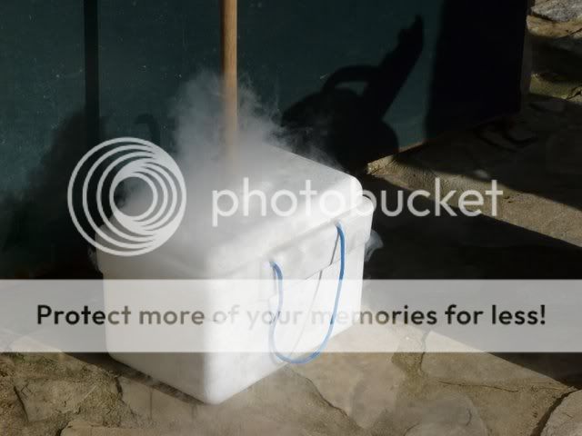 P1030100.jpg