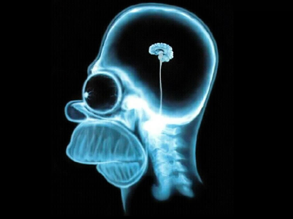 homer-simpson-brian.jpg