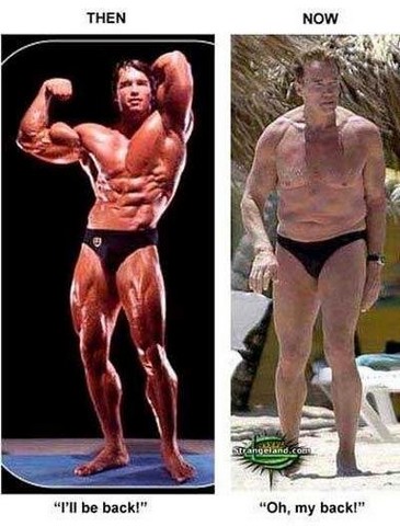 schwarzenegger.jpg