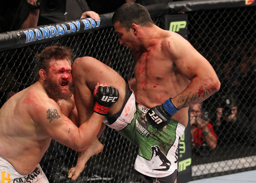 ufc143_10_werdum_vs_nelson_019.jpg