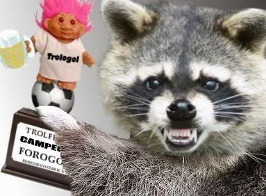 mapache.jpg