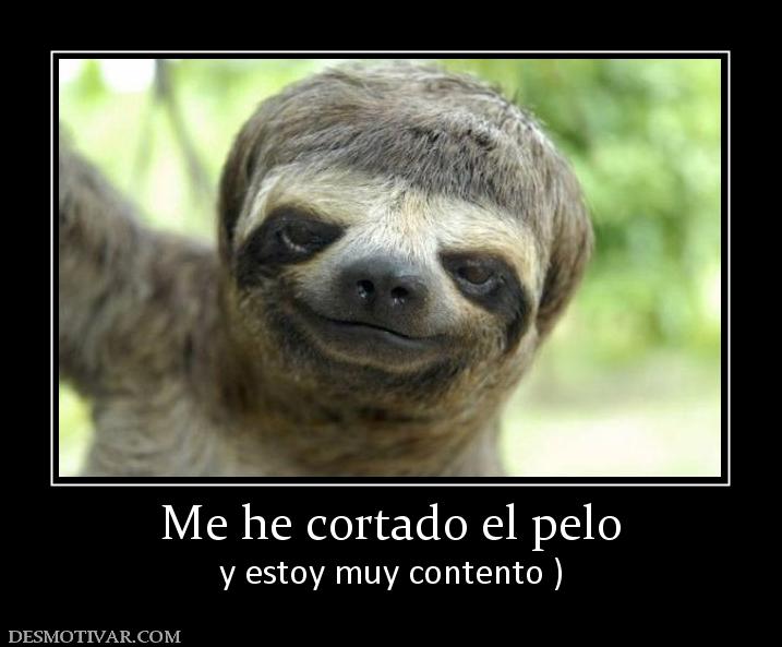 31307_me_he_cortado_el_pelo.jpg