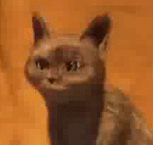 ohhh_cat_by_kaitoudark19-d4m6696.gif