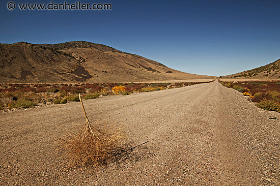 dv-tumbleweed-1-big.jpg