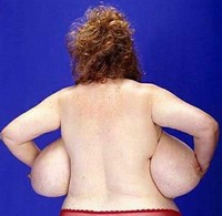 th_71103_dos_cocos2_123_431lo.jpg