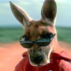 kangaroo_jack.jpg