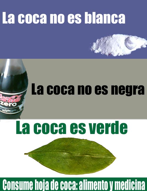 coca.jpg