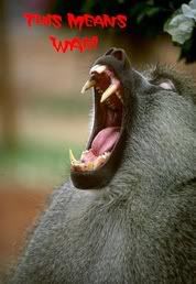 CrazyBaboonWarthing.jpg