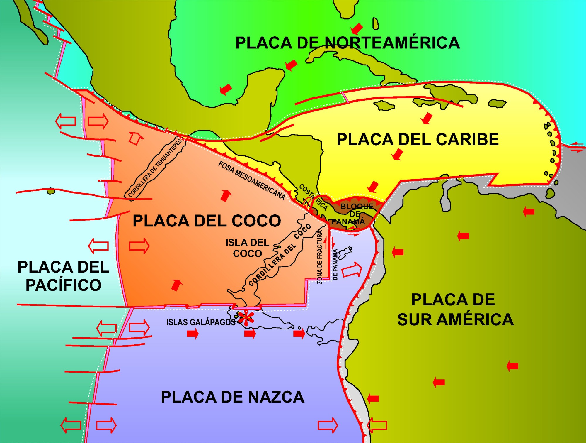 placasuh6.jpg
