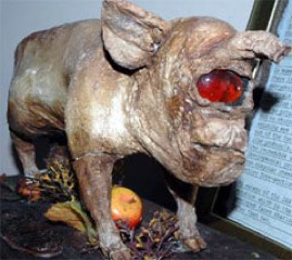 _2006_01_26_strange-creatures-pig.jpg