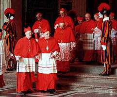 cardenales3.jpg