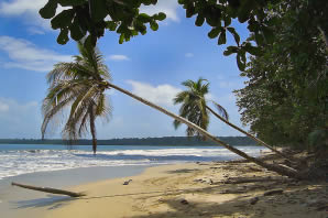 cahuita_national_park_view2.jpg