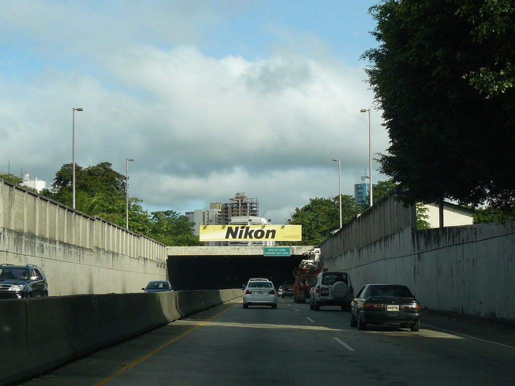 P1010140.jpg
