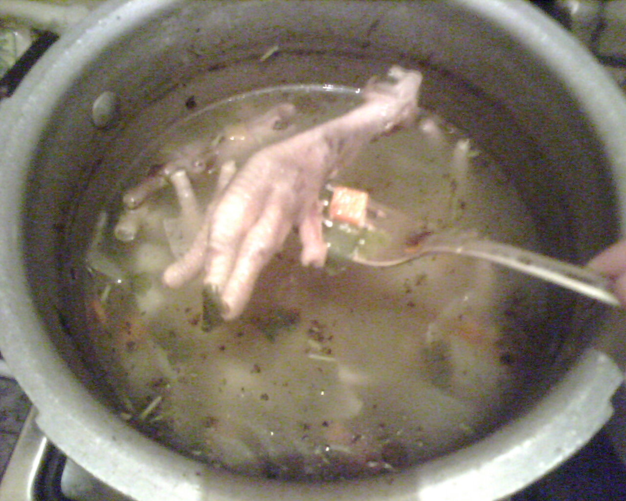 img007251.jpg