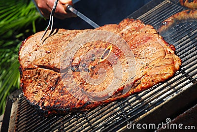 filete-de-carne-de-vaca-gigante-thumb7961642.jpg