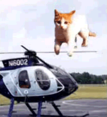516930185320eec6475d4eaf1b28cd03.gif