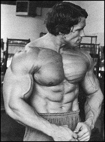 arnold-schwarzenegger-bodybuilding-pic.jpg