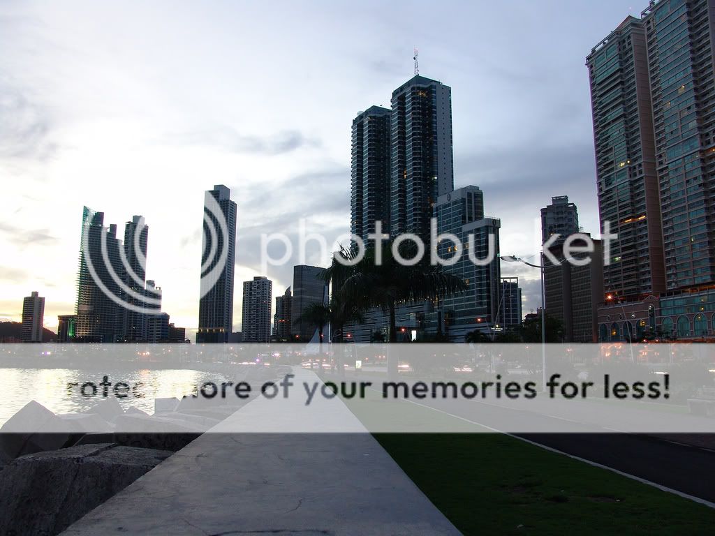6444608231_ff962a63b9_b.jpg