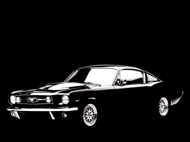 MUSTANG_by_mikojan10.jpg