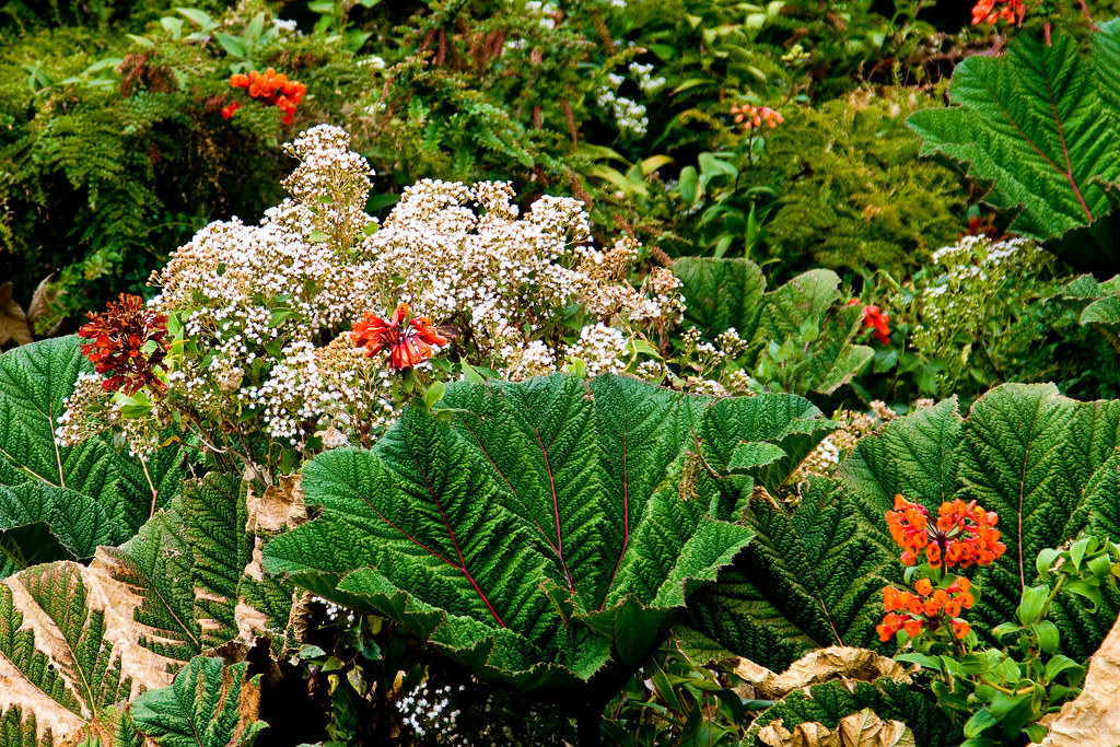 4547197886_45d4030e07_b.jpg