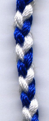 tzitz3.gif