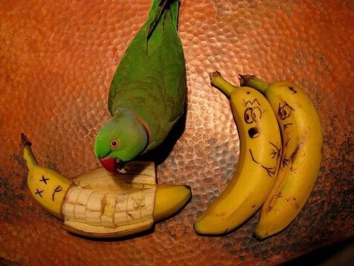 fun_with_food_52.jpg