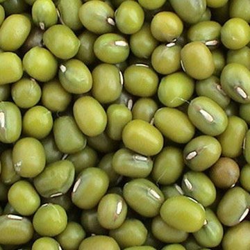 Green_Mung_Bean.jpg