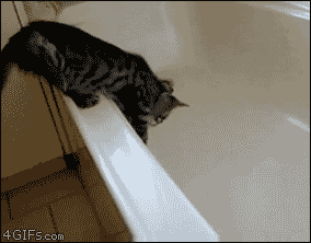 Cat-bathtub-panic.gif