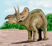 200px-Nedoceratops_BW.jpg