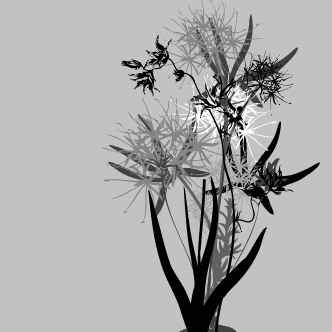 flores-abstractas-2.jpg