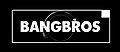 120px-Bangbros_logo.jpg